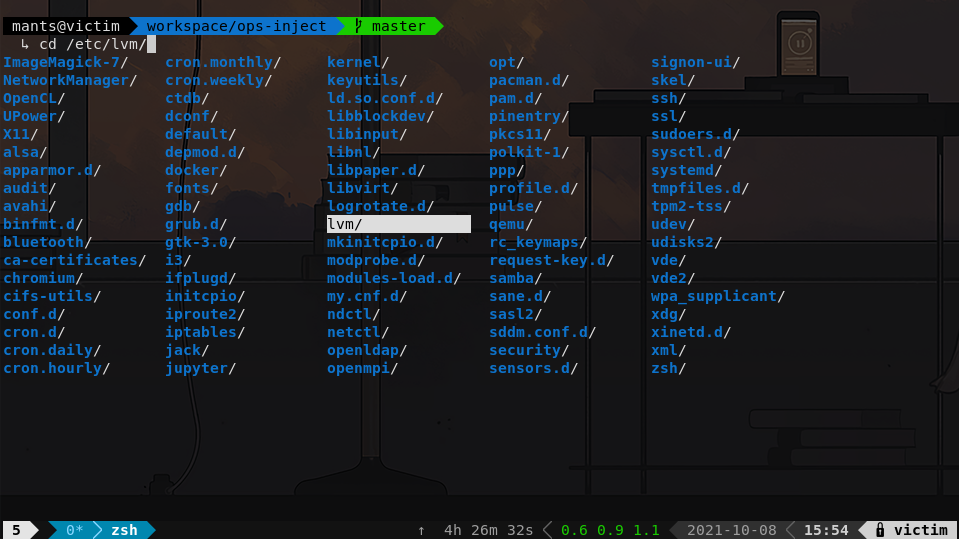 ii:labs:01:tasks:zsh-example.png