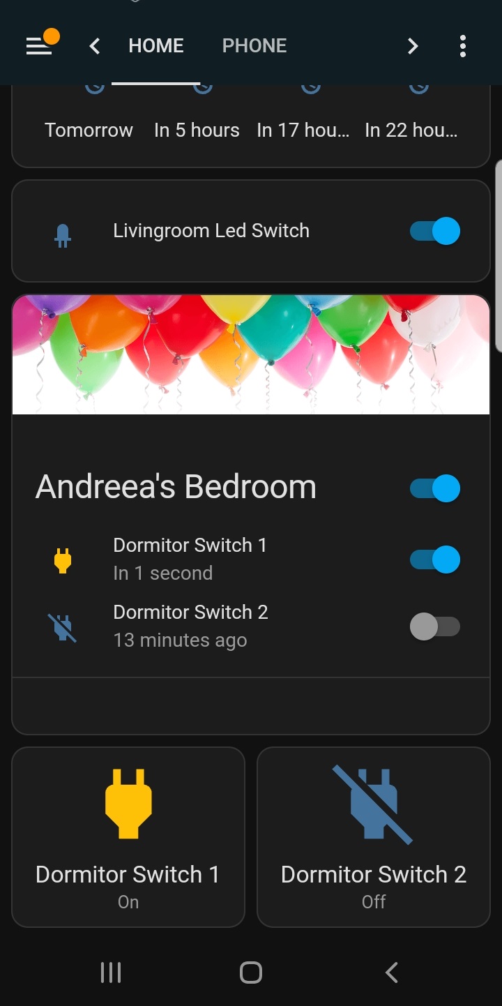 home_assistant_phone.jpeg