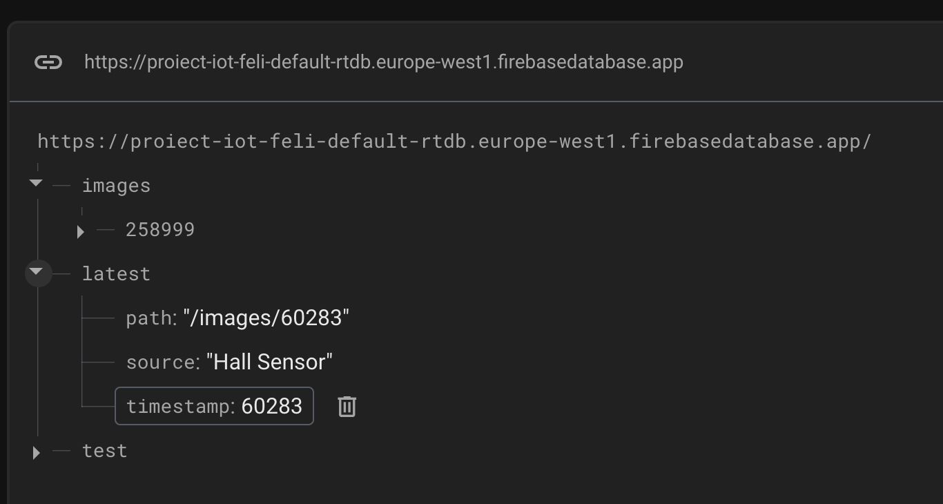 firebase2_feli.jpg