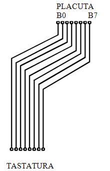tastatura.jpg