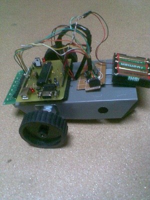 ns_pic-3-.jpg