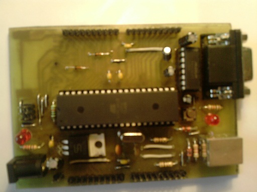 p270510_13.44.jpg