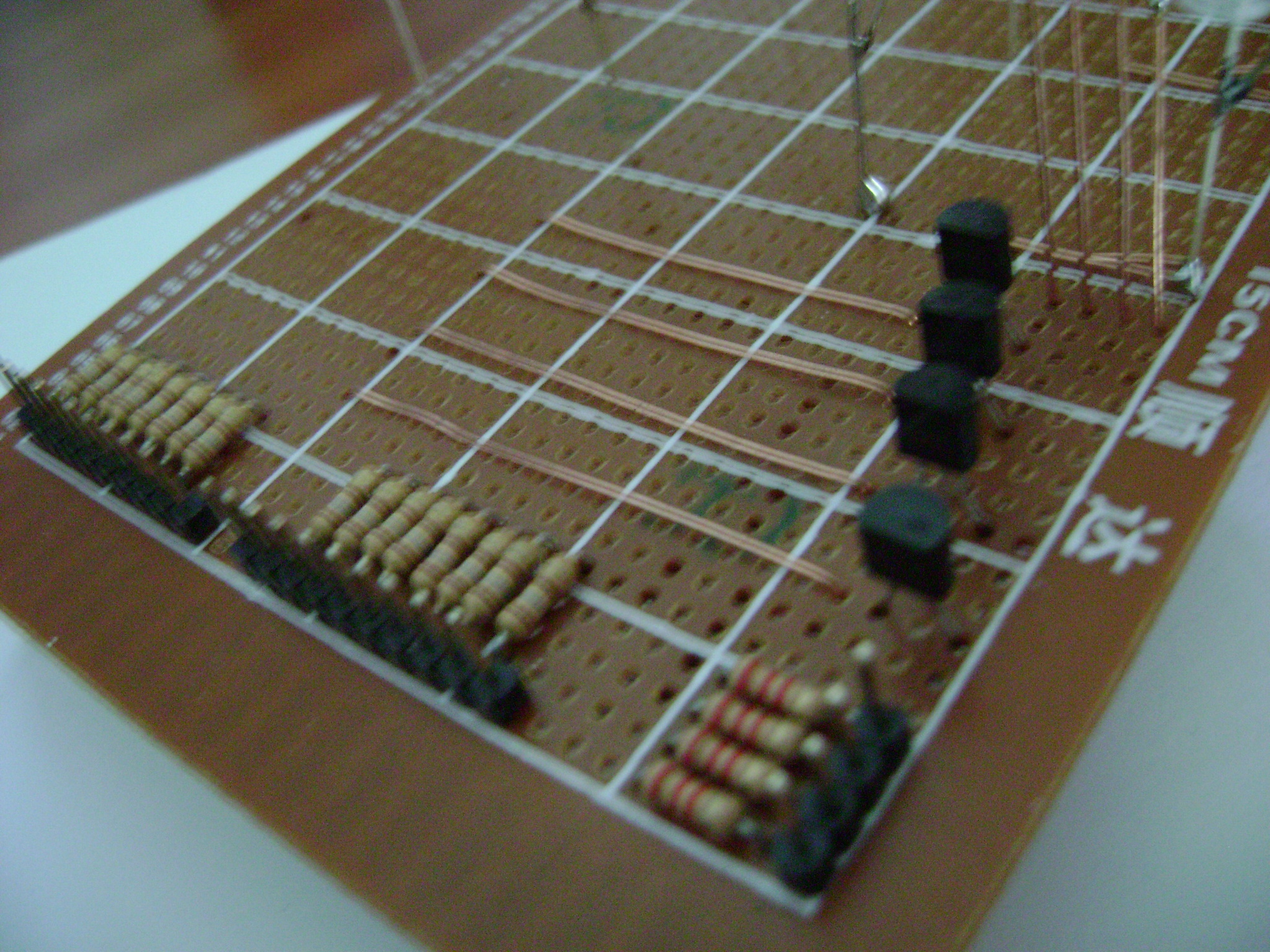 dsc00371.jpg