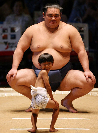 pm:prj2010:pgp:sumo_mismatch.jpg
