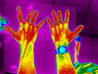3682104506_11d959a071.jpg