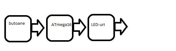 structura_.jpg