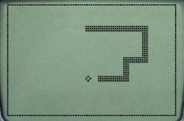 classic-snake.jpg
