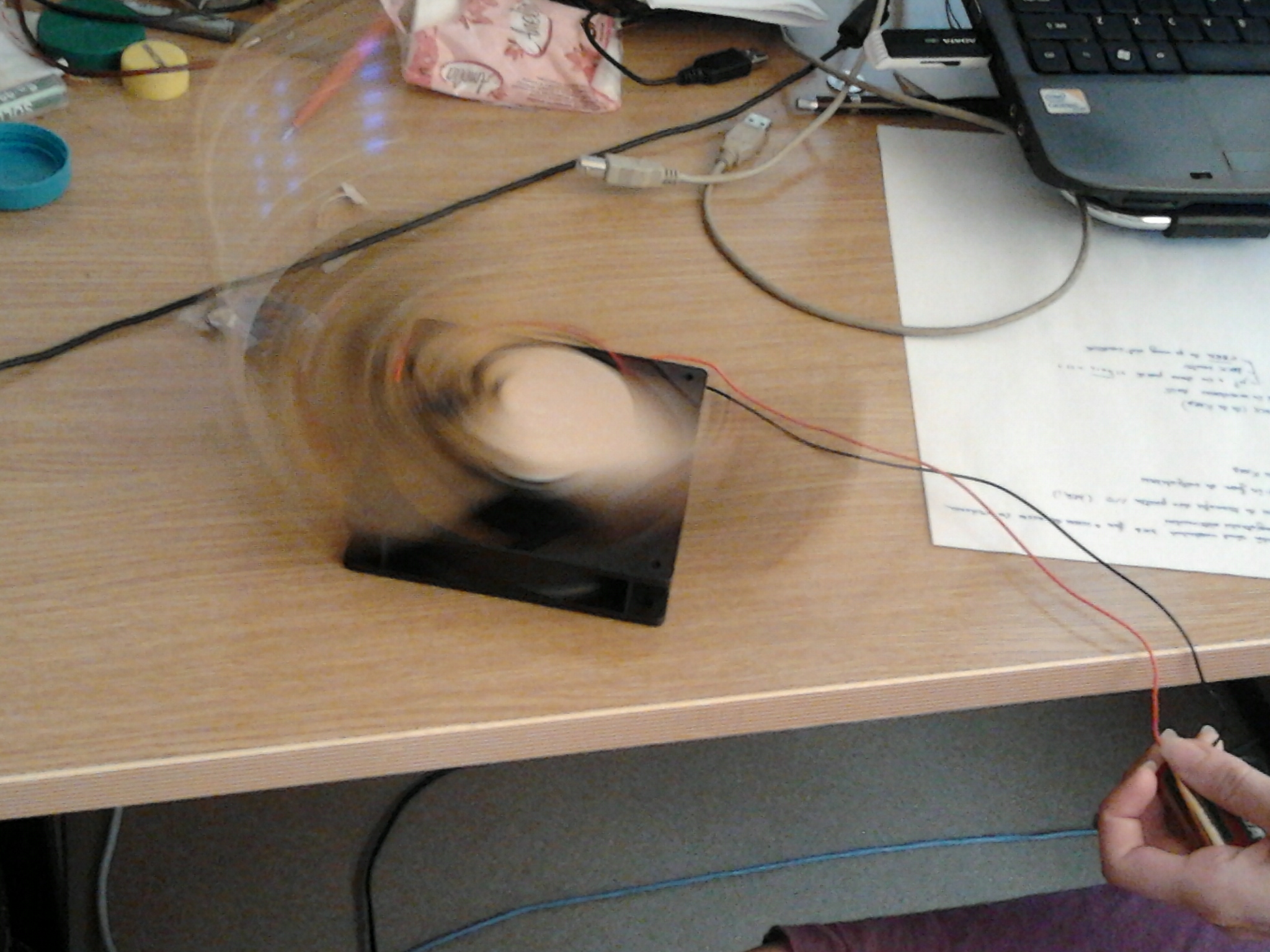pov_pic3.jpg