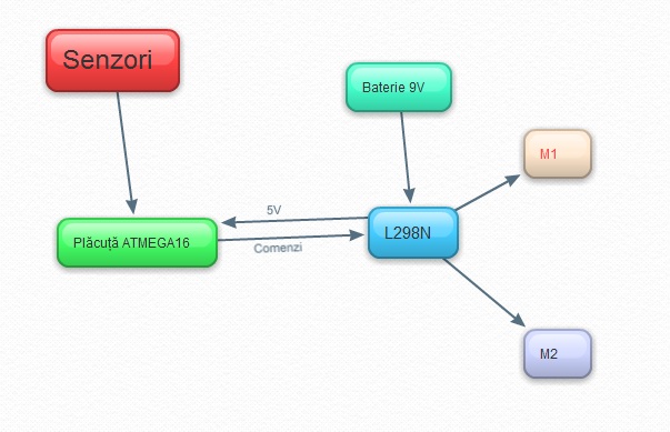  Schema conceptuala