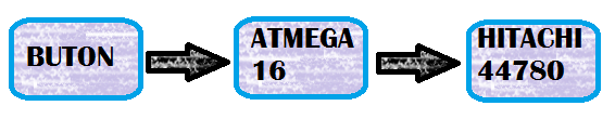 lapa.png