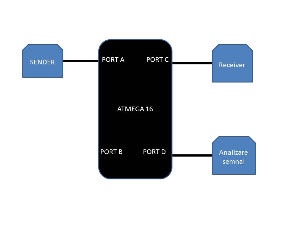 schema.jpg