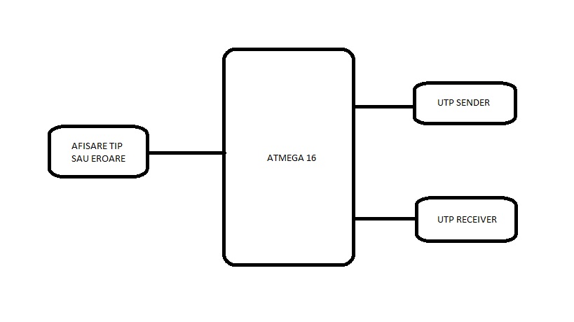 tinca_1.jpg