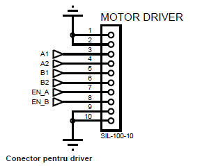 driver.jpg