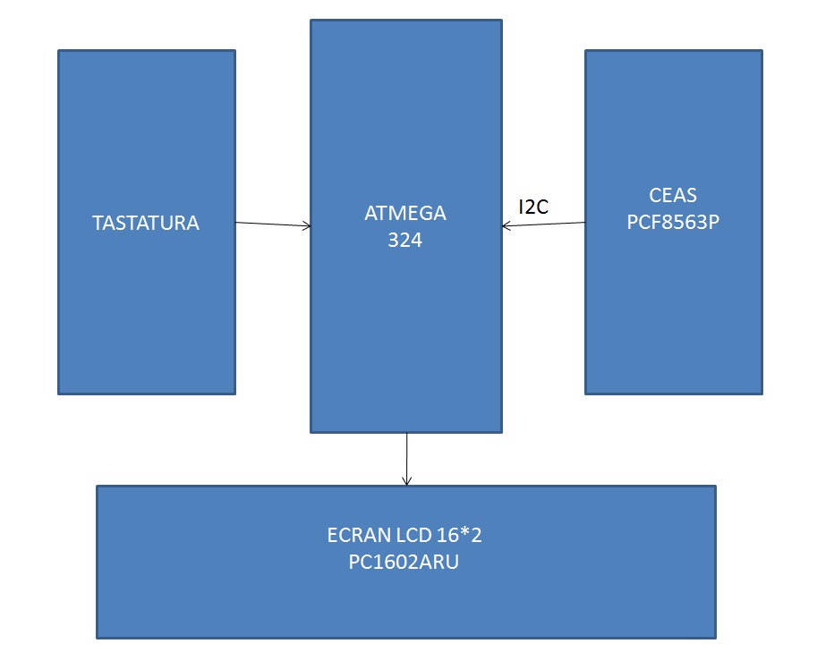 sasgen.jpg