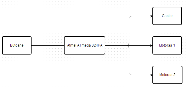 schema_generala.png