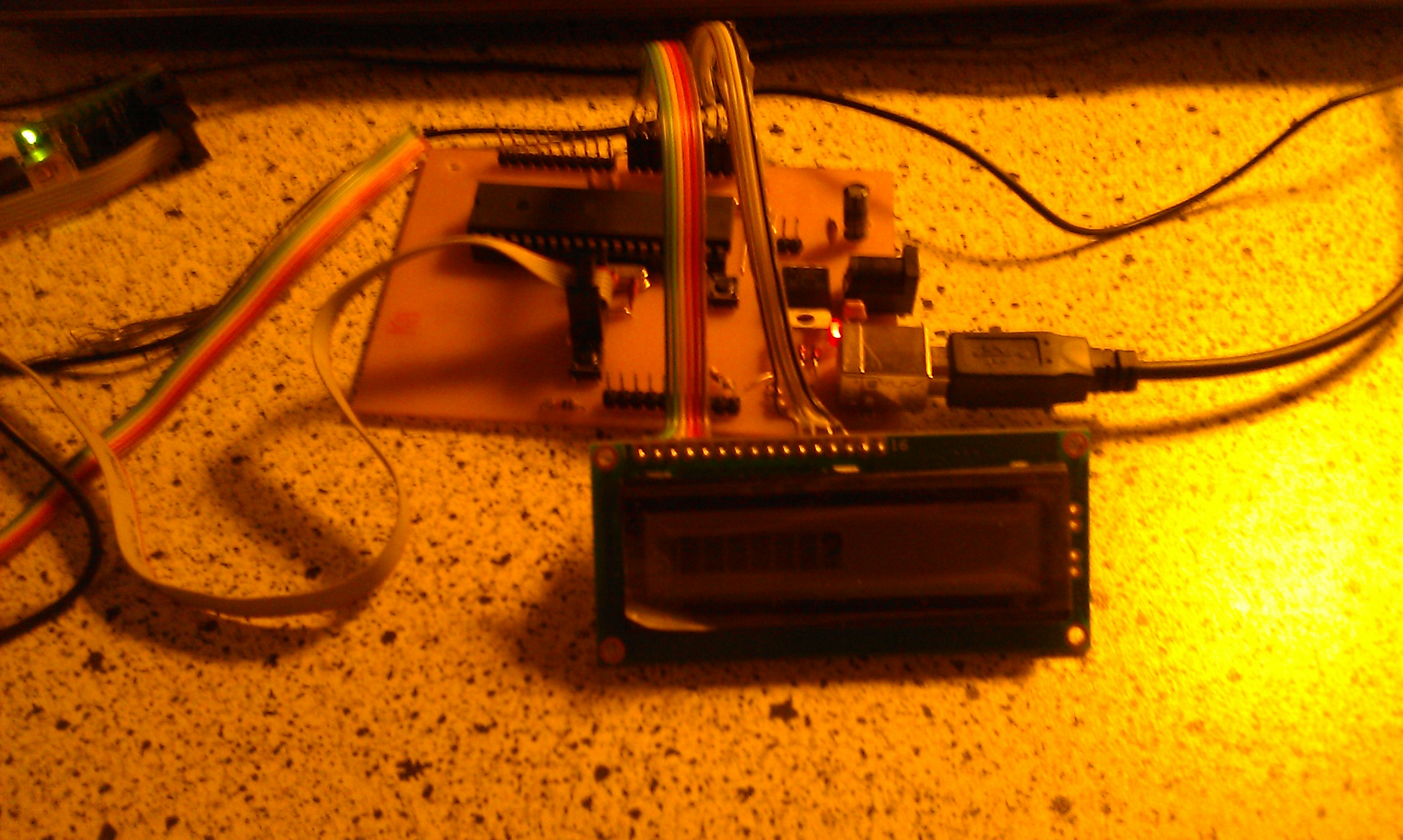 imag0317.jpg