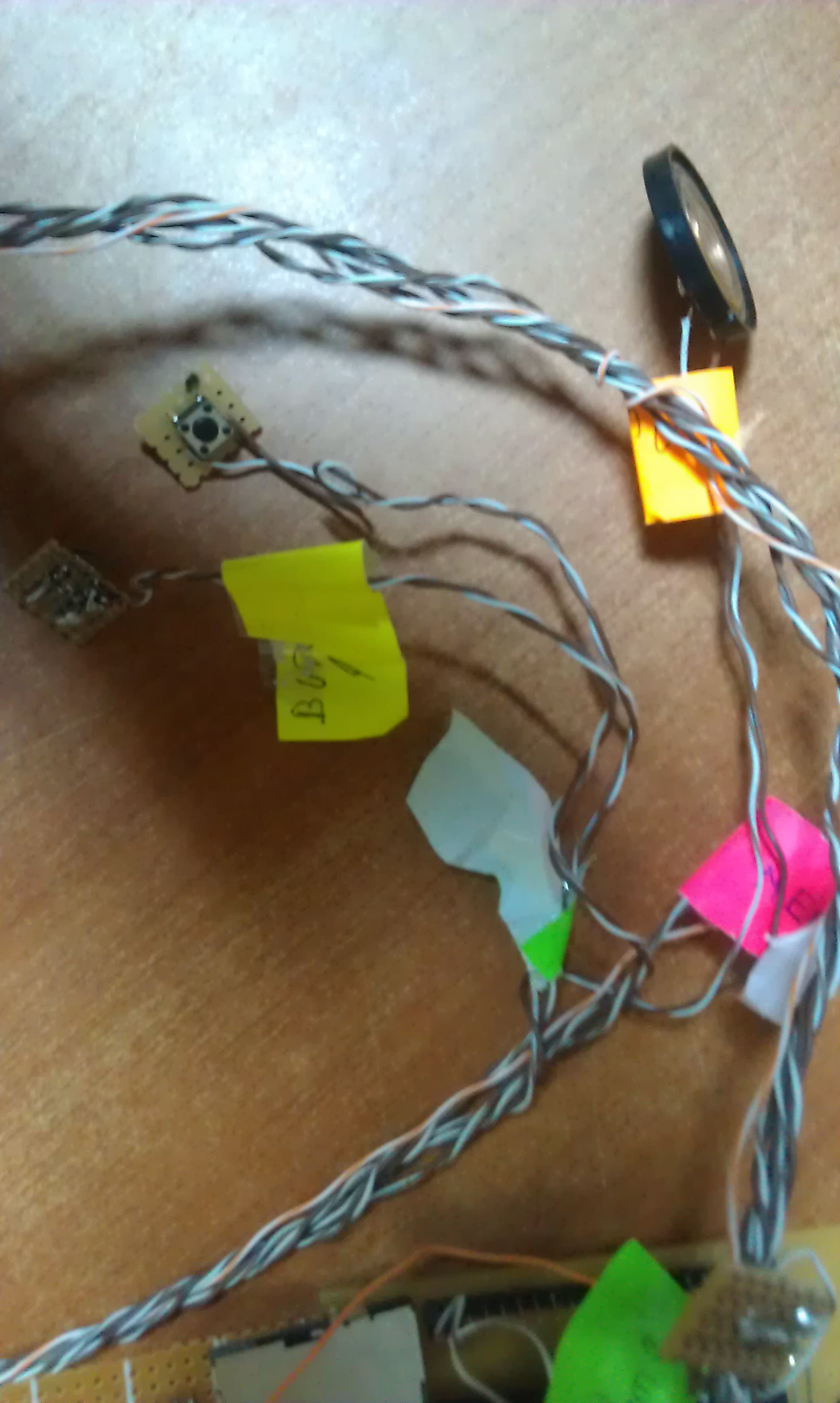 imag0293.jpg