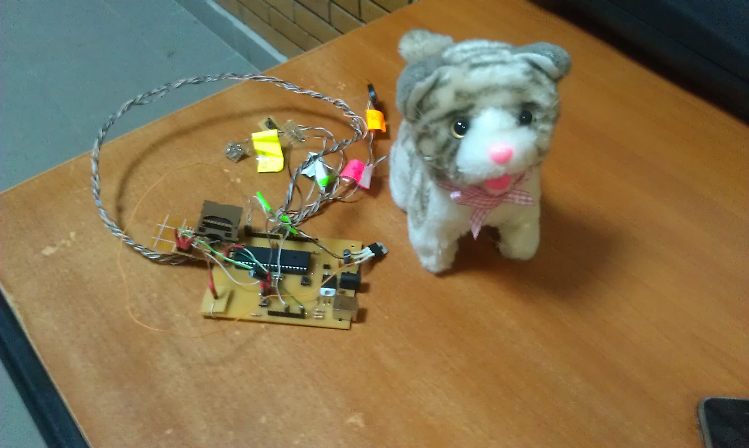 imag0298.jpg