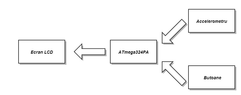 proiectpm.jpg