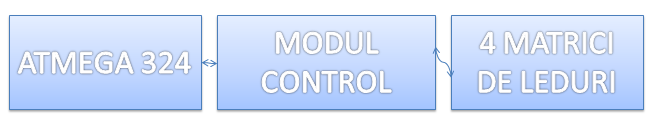module.png