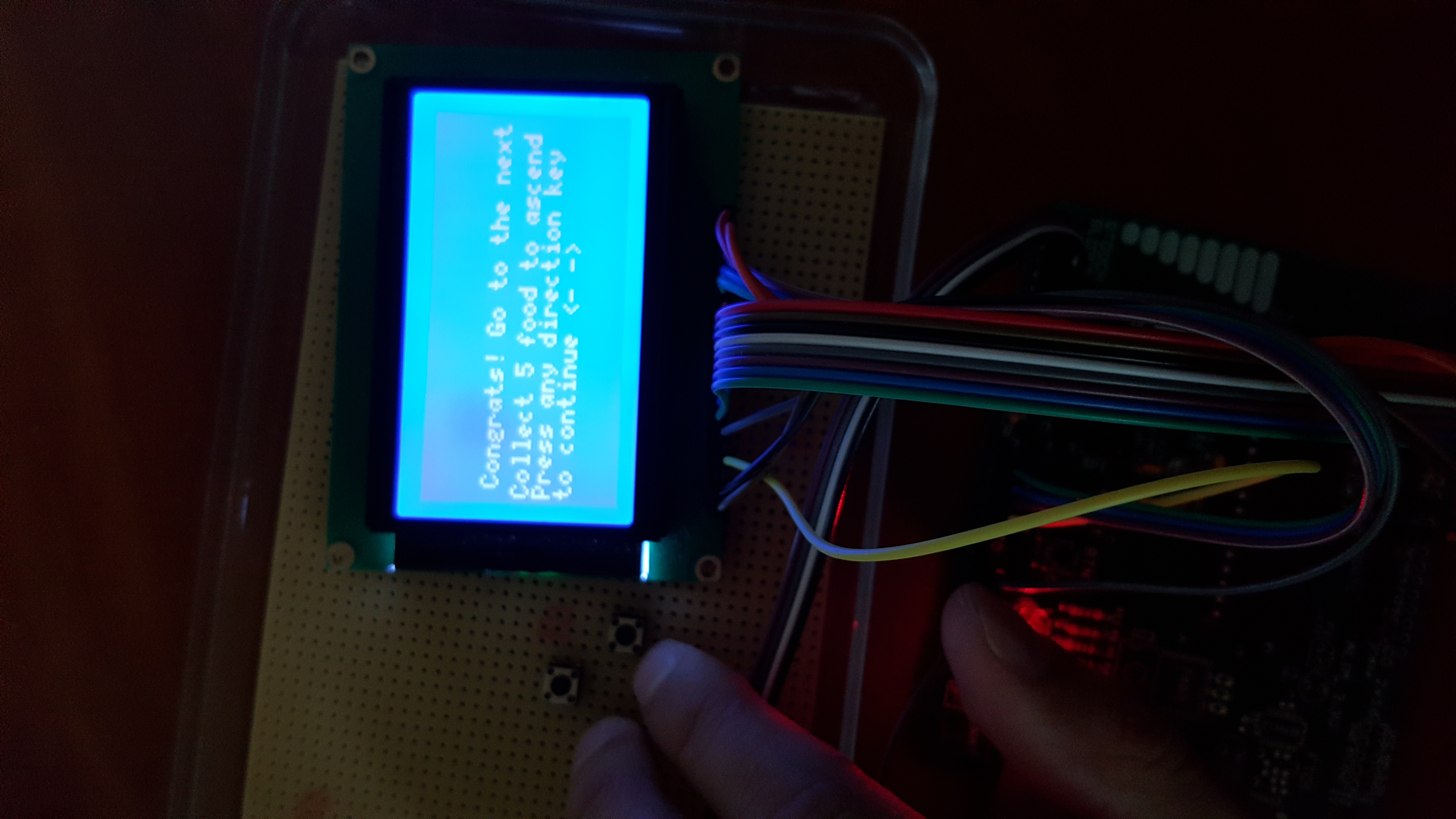 ASCII������IICSA���II