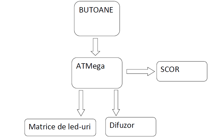 roxana_schemabloc.png