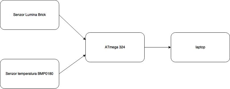 schema_alex_craciun.jpg