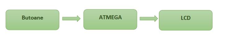 amaliaf_diagram.png