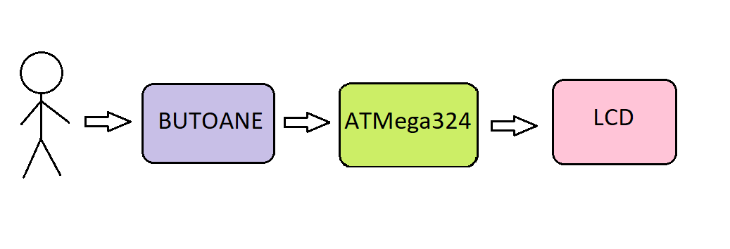 schema-bloc-miruna-cojocaru.png
