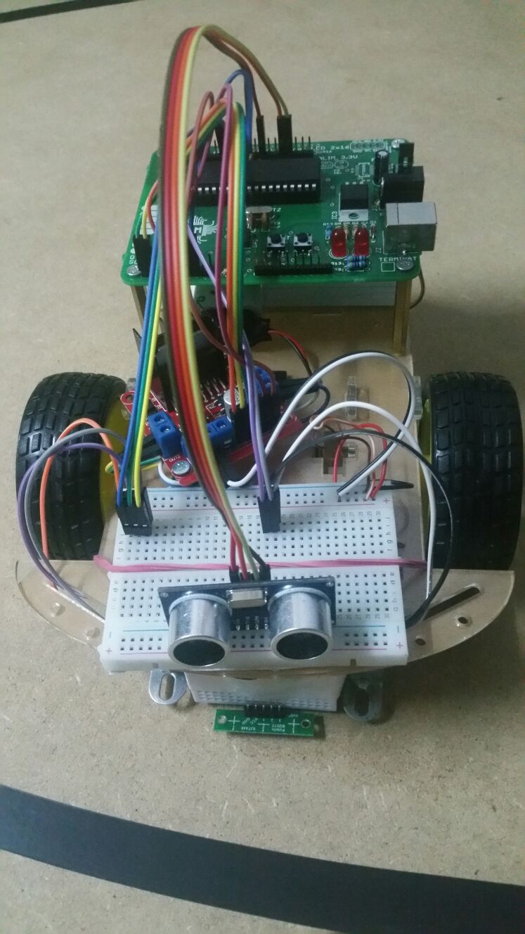 robocatp2.jpeg