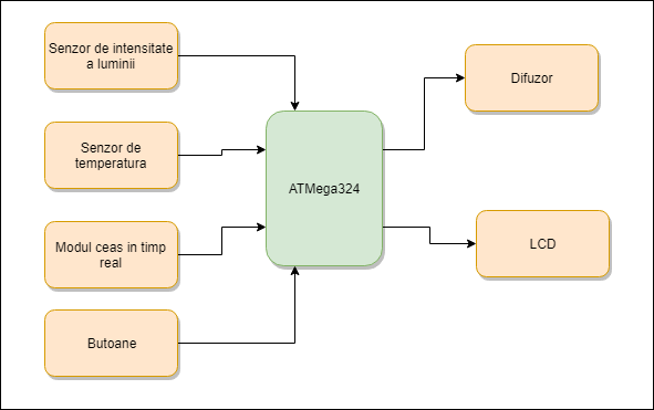 diagrama-roxanabalasoiu.png