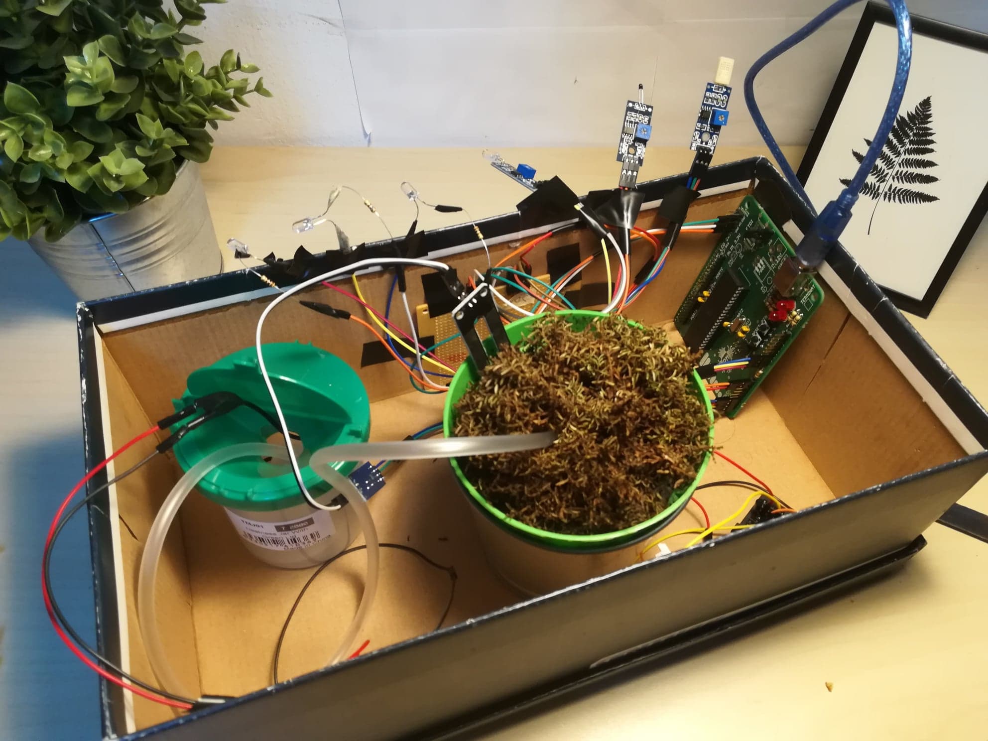 spp1.jpg