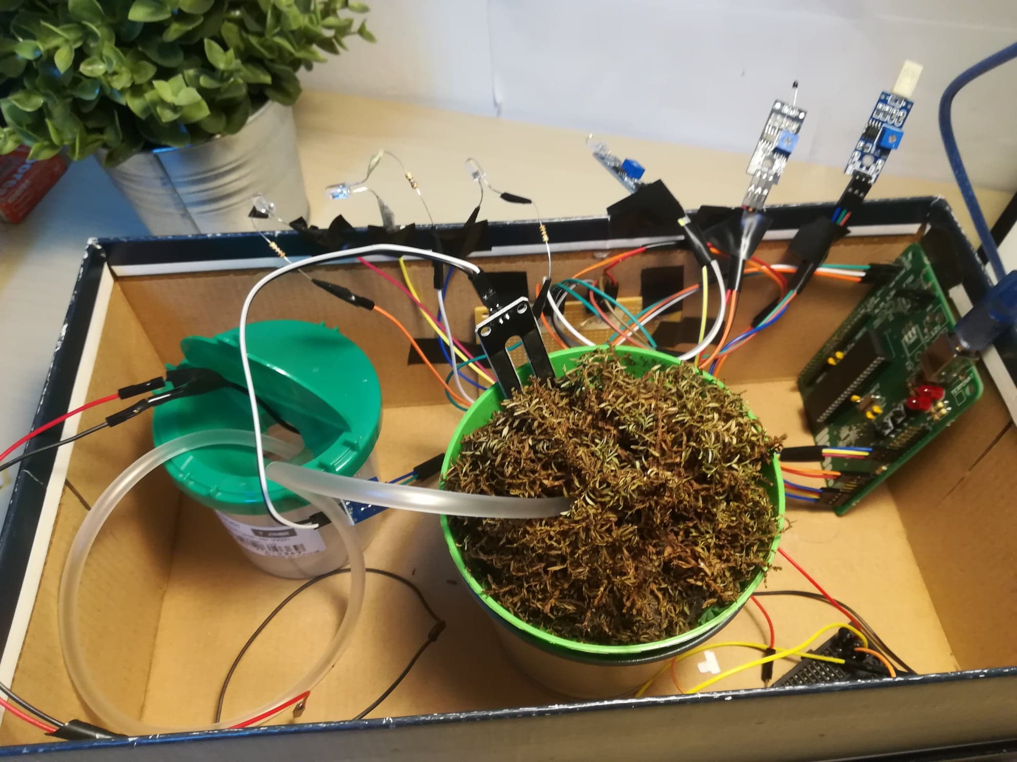 spp2.jpg