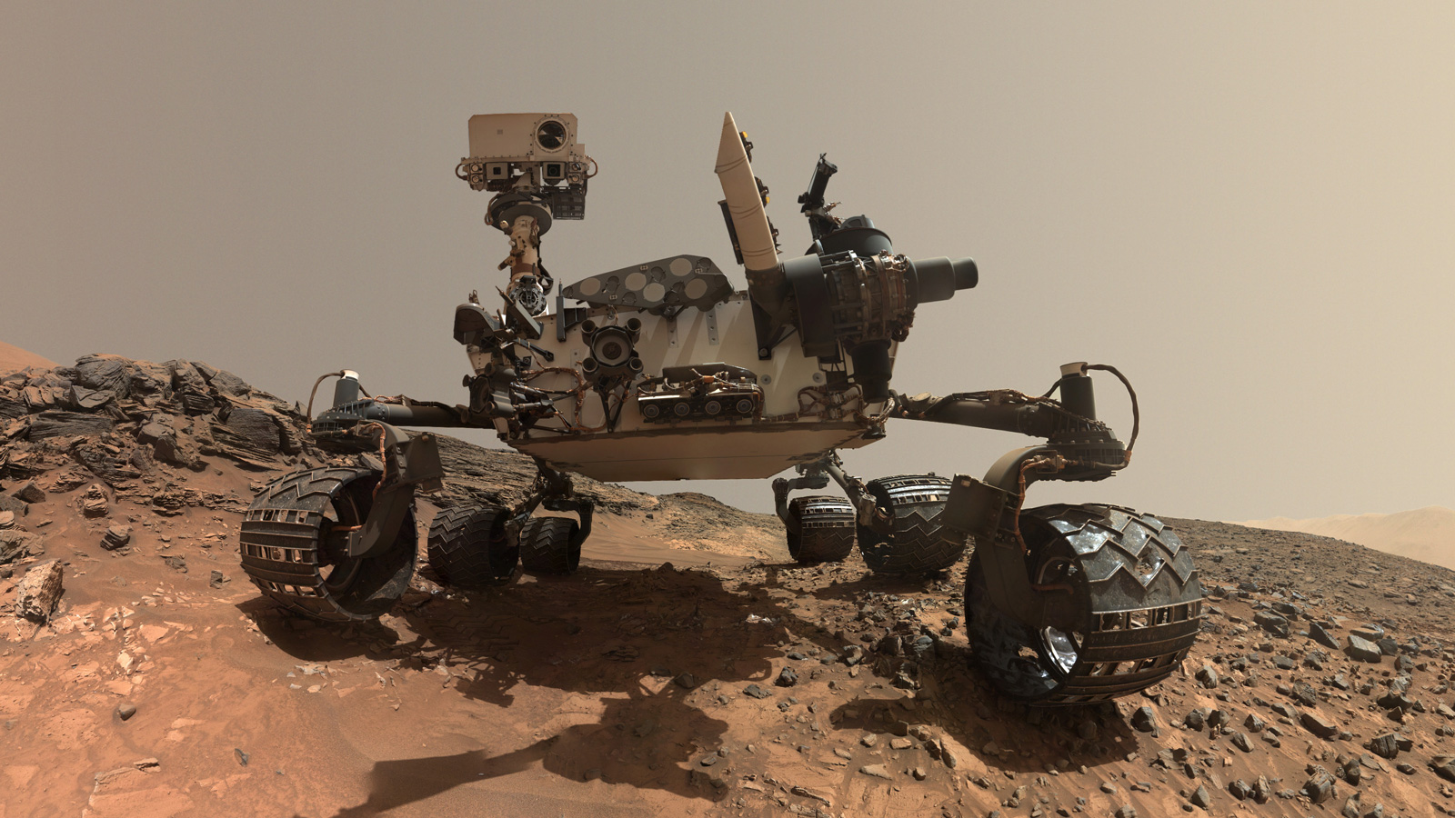 curiosity.jpg