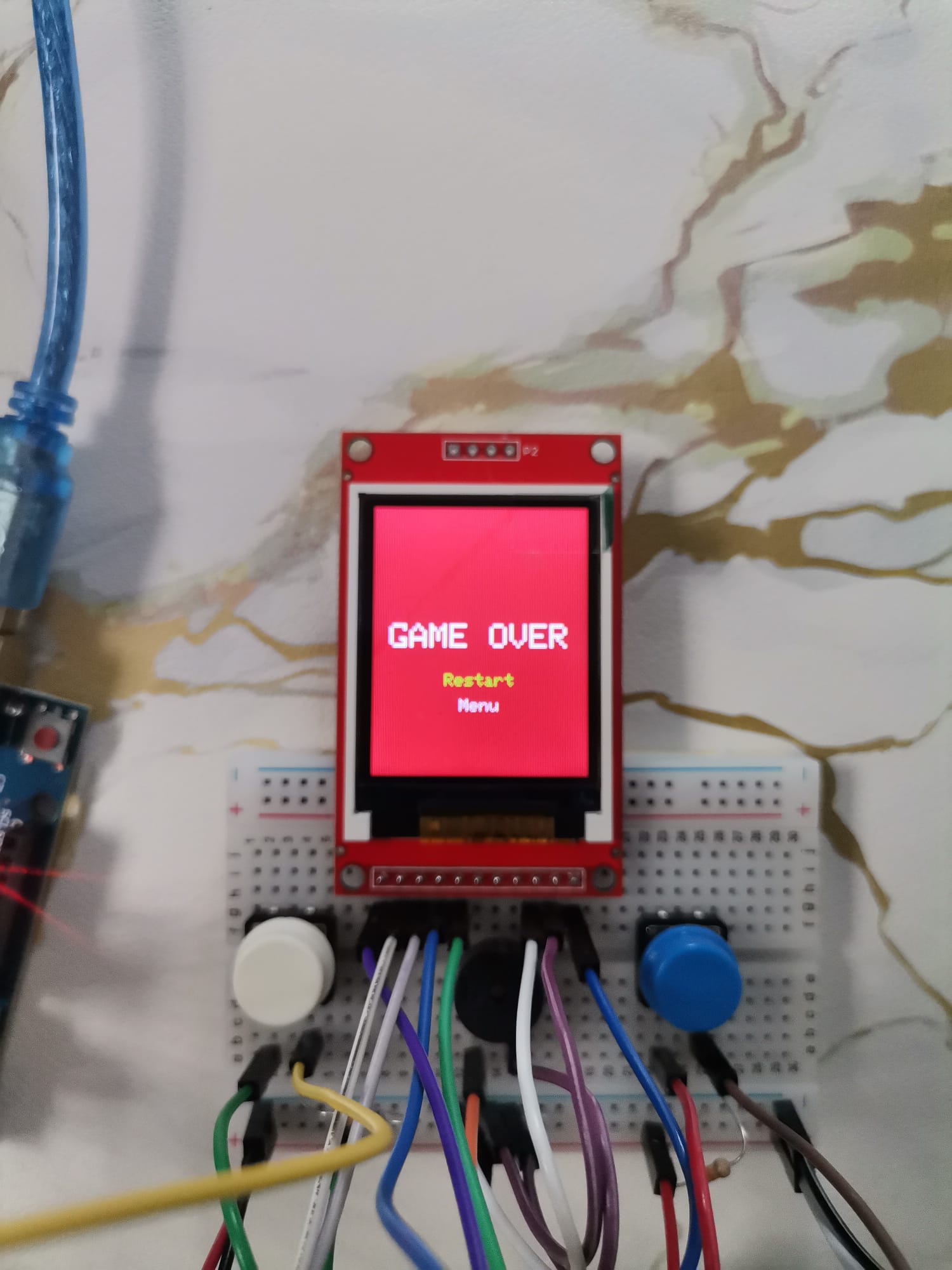 pm:prj2025:ajipa:game_over.jpg