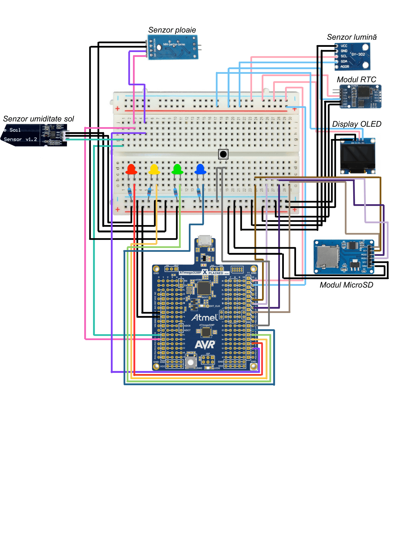 pm:prj2026:alexandru.jipa2803:fritzing_kak-1.png