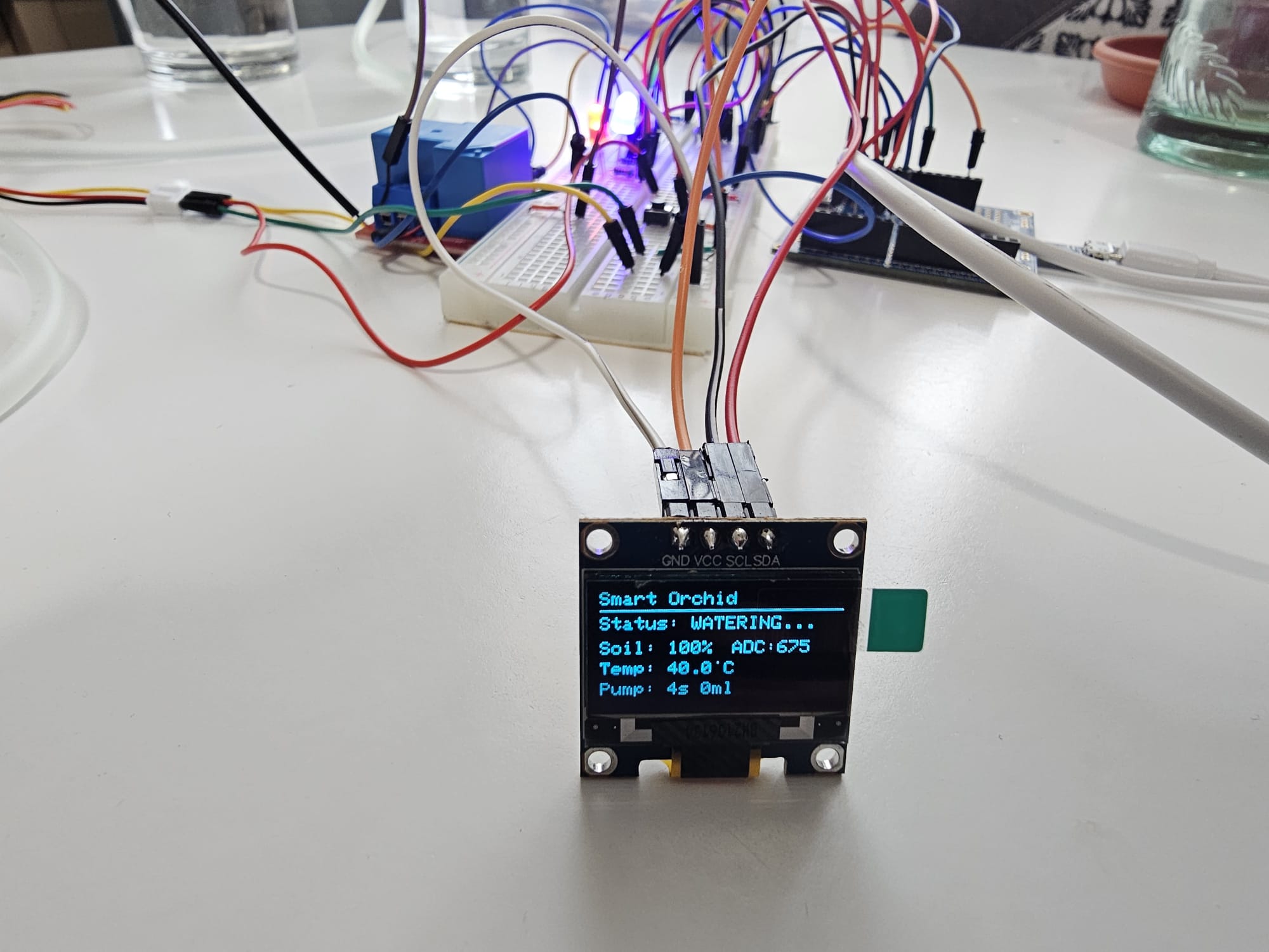 pm:prj2026:atoader:oled_functionare.jpeg