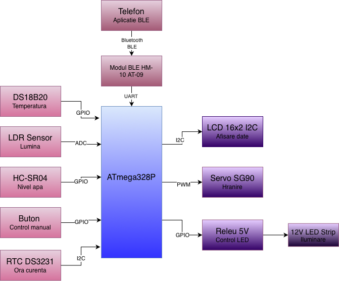 schema-alexia.png