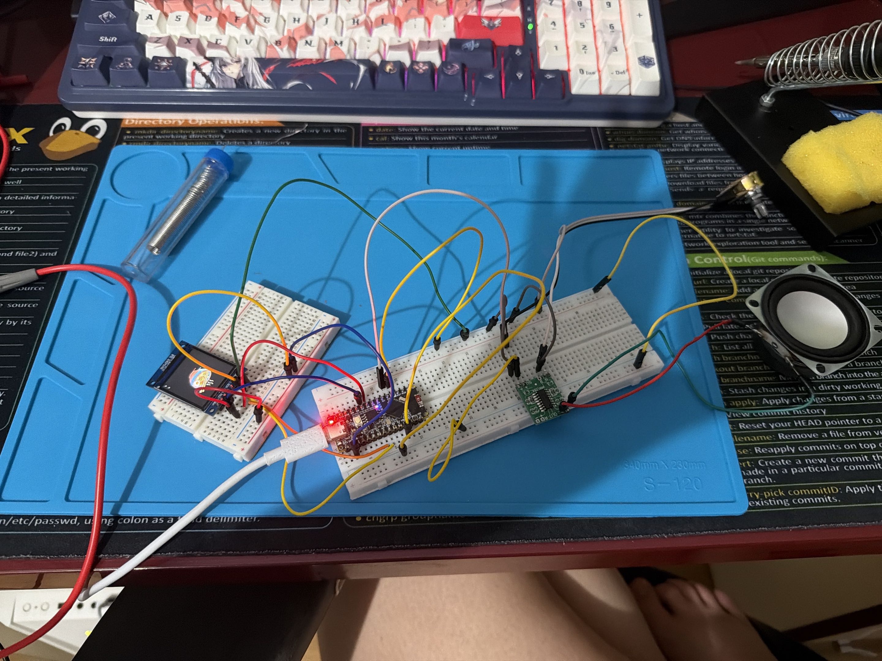 pm:prj2026:ionut.otelea:first_time_display_snowy.jpg