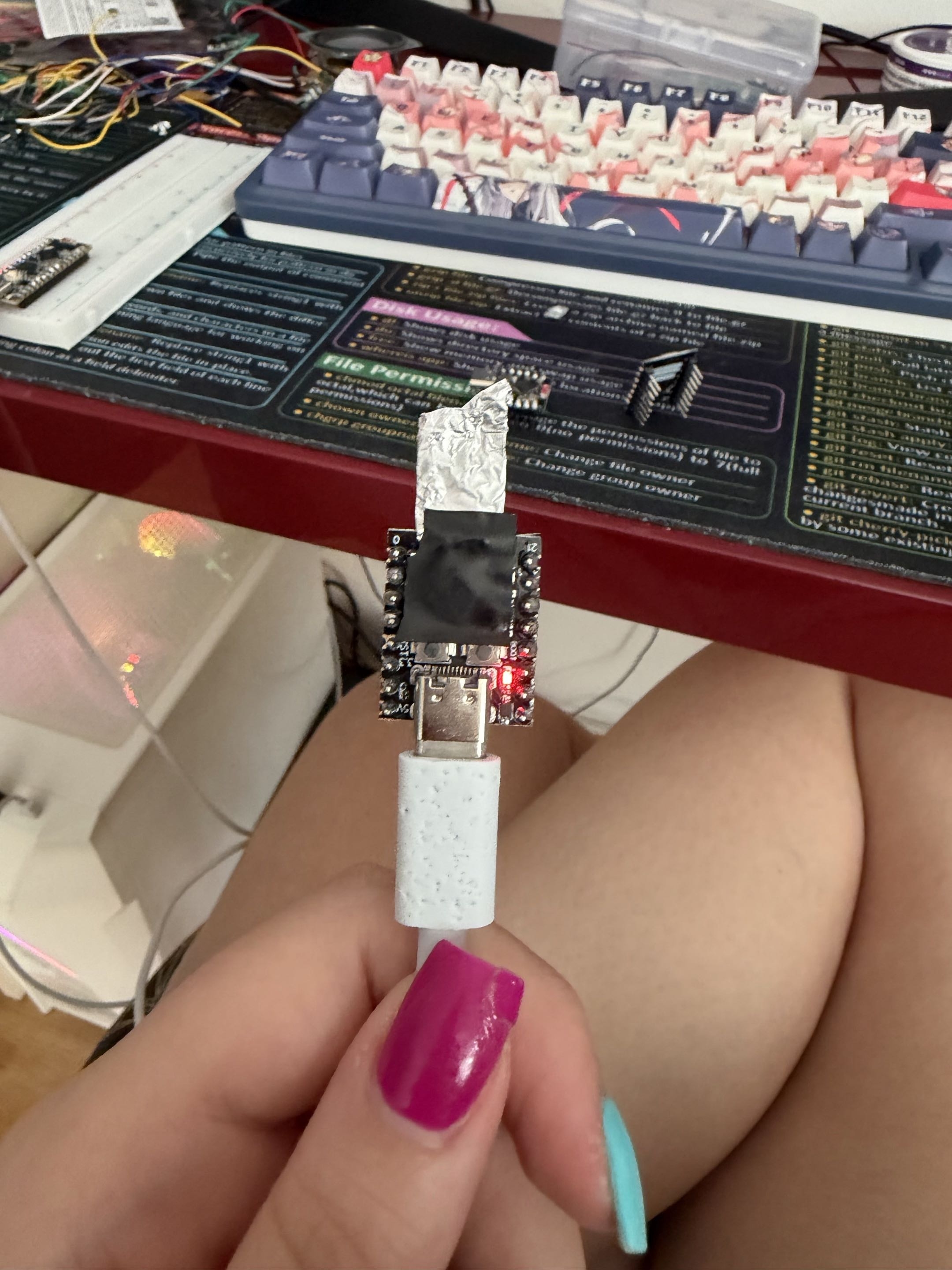 pm:prj2026:ionut.otelea:tinfoil-esp32_snowy.jpg
